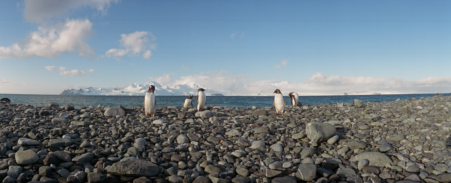 Beyond the Familiar: A New Year’s Manifesto for the Restless