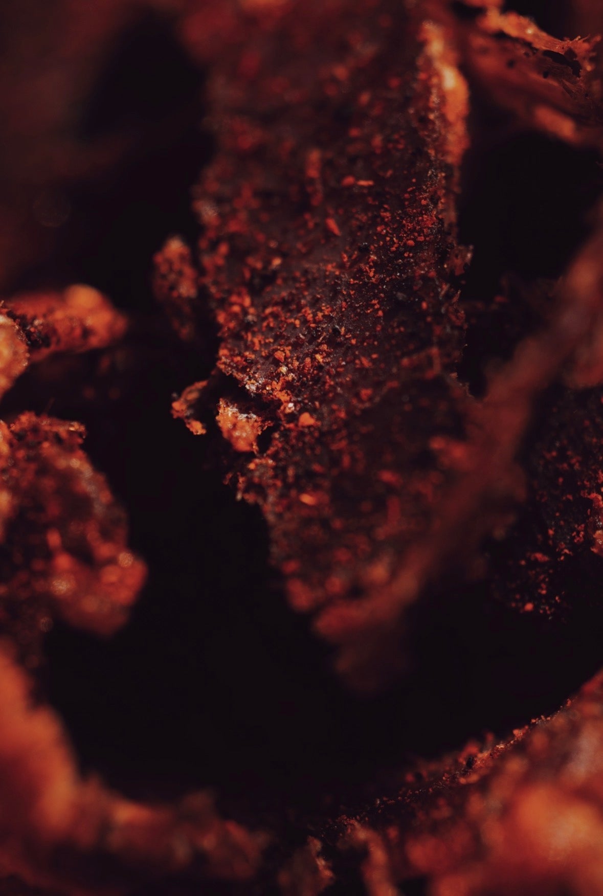 Close-up of a chipotle ancho spiced slice of Brave Biltong